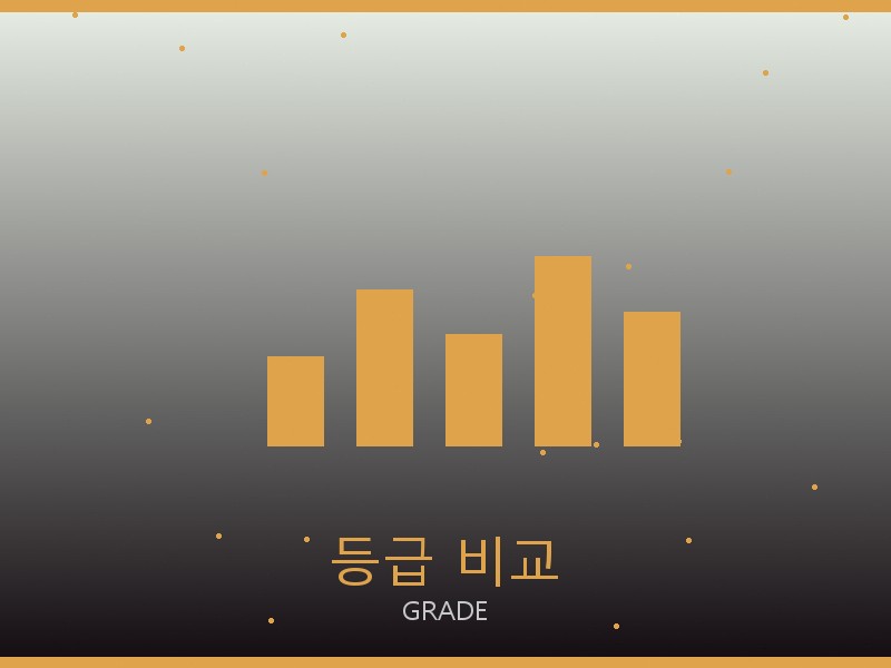 크롬하츠 미러급 사이트 등급 기준 비교